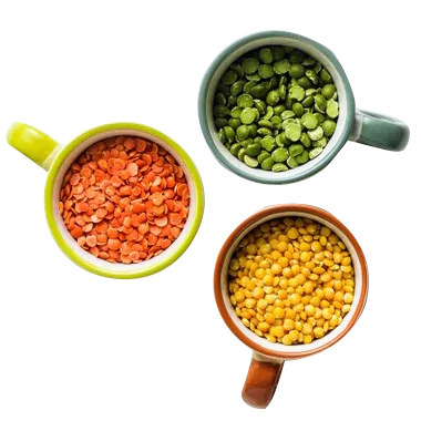 pulses manufacturers in delhi, pulses Supplier in Delhi, arhar dal Manufacturers, Moong Chilka Dal Manufacturers, urad dal manufacturers, urad dhuli dal manufacturers, Urad dal chilka manufacturers, Rajma Sharmili Manufacturers, Rajma Chitra dal manufacturers, Moth Dal Suppliers in Delhi, MOONG SABUT dal manufacturers, masoor malka dal manufacturers, masoor kali dal manufacturers, WHITE LOBIA dal manufacturers in delhi, red lobia dal manufacturers, black chana manufacturers
